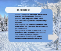 Apsaldējumi