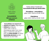 VDI konsultacijas