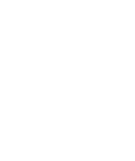 Valsts darba inspekcija
