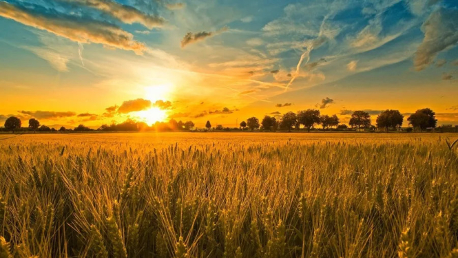 Ilustratīvs attēls