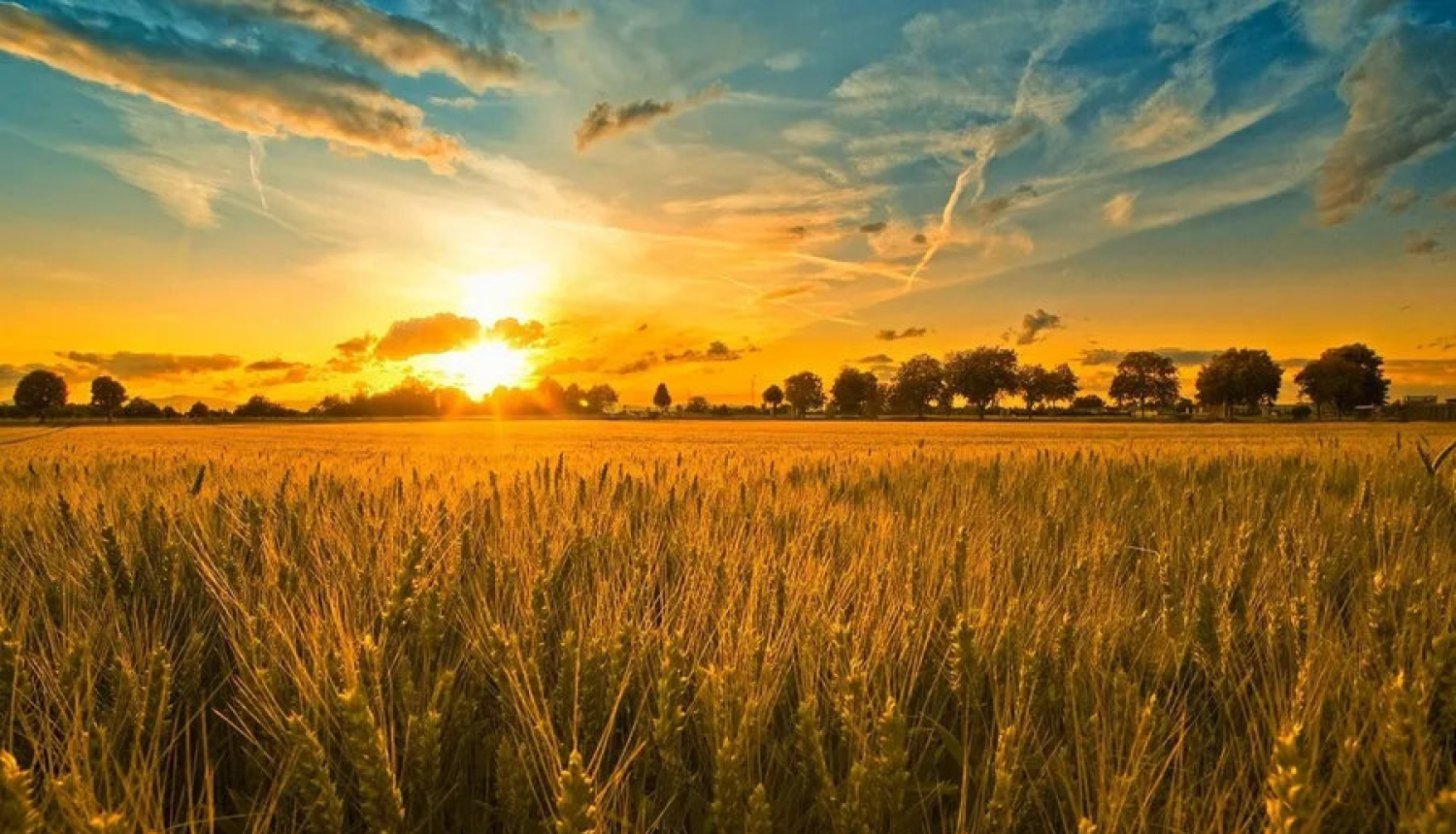 Ilustratīvs attēls